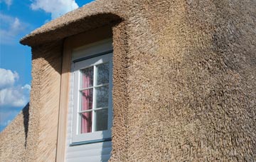 Westerton thatch roof disadvantages